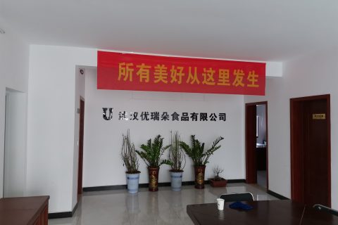 武汉优瑞朵食品有限公司监控系统工程